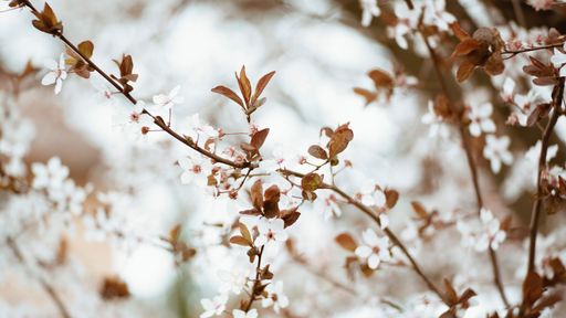 Asthme et allergies : les choses à savoir !